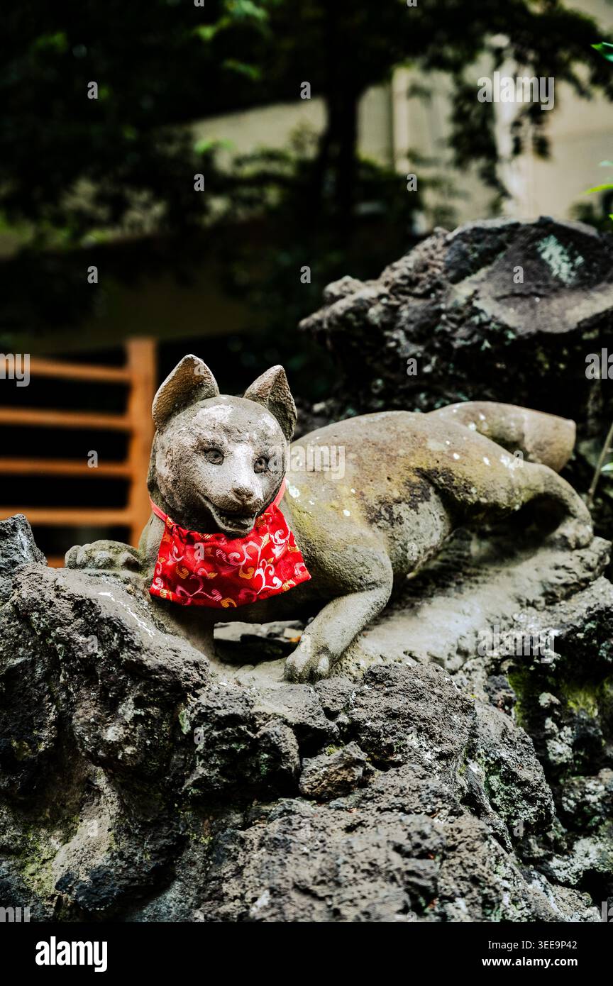 Statue de renard en pierre portant un bavoir rouge reposant sur des rochers dans le parc du sanctuaire Nezu, quartier Bunkyō, Tokyo, Japon Banque D'Images