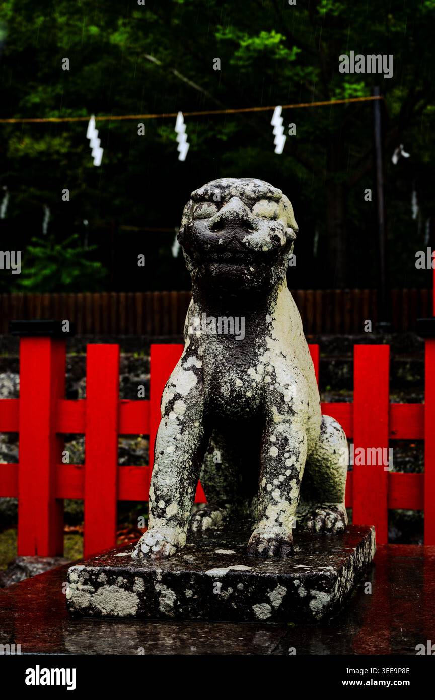 Statue de gardien de komainu en pierre sous la pluie avec clôture rouge et corde shimenawa au sanctuaire Nezu, quartier Bunkyō, Tokyo, Japon Banque D'Images