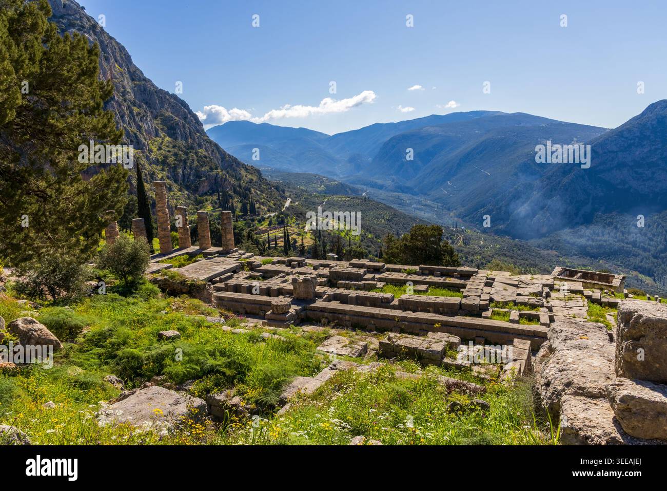 Célèbre site archéologique de Delphes situé en Grèce Banque D'Images