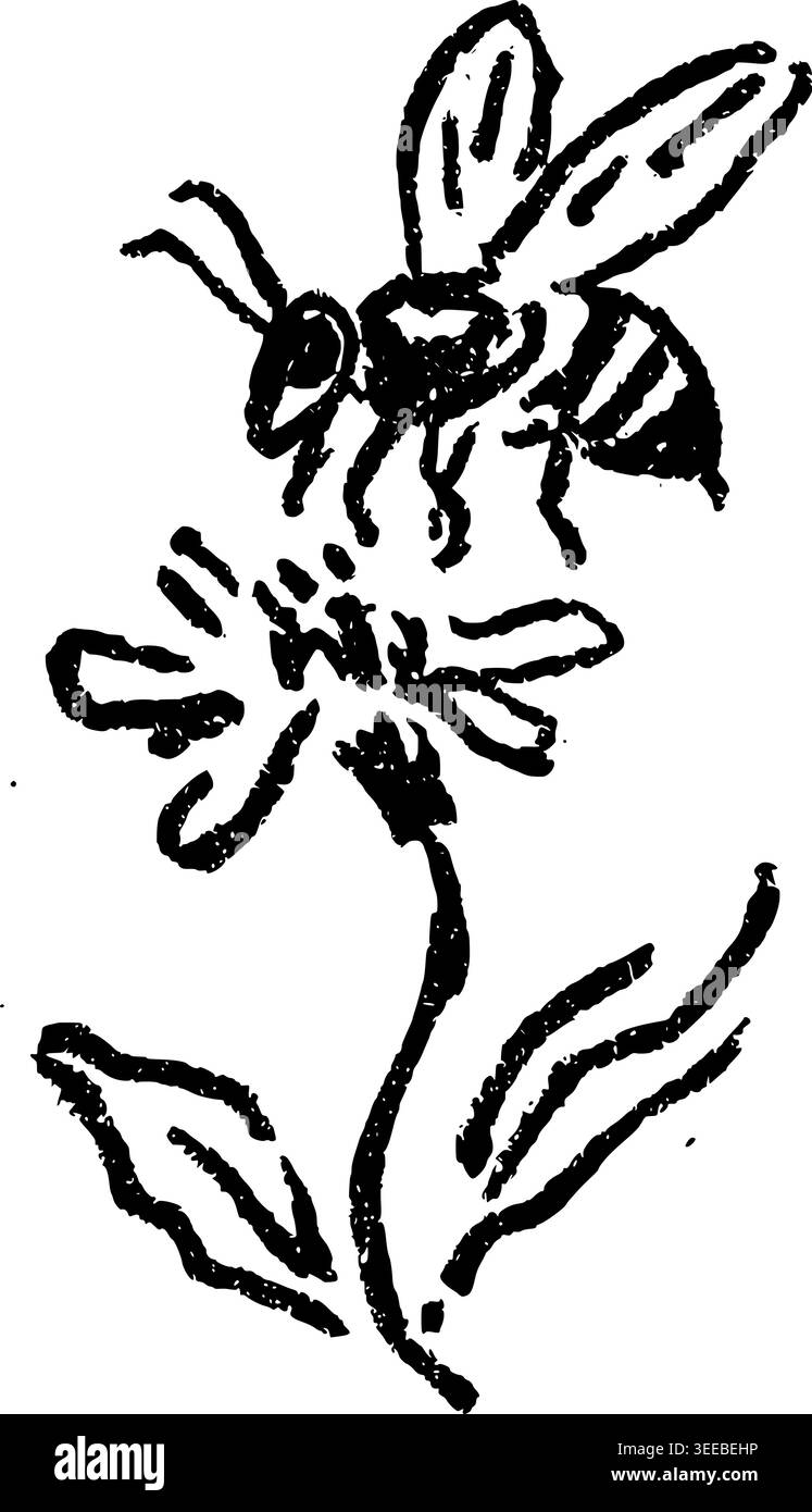 Abeille dessinée à la main sur Daisy Flower illustration vectorielle Illustration de Vecteur