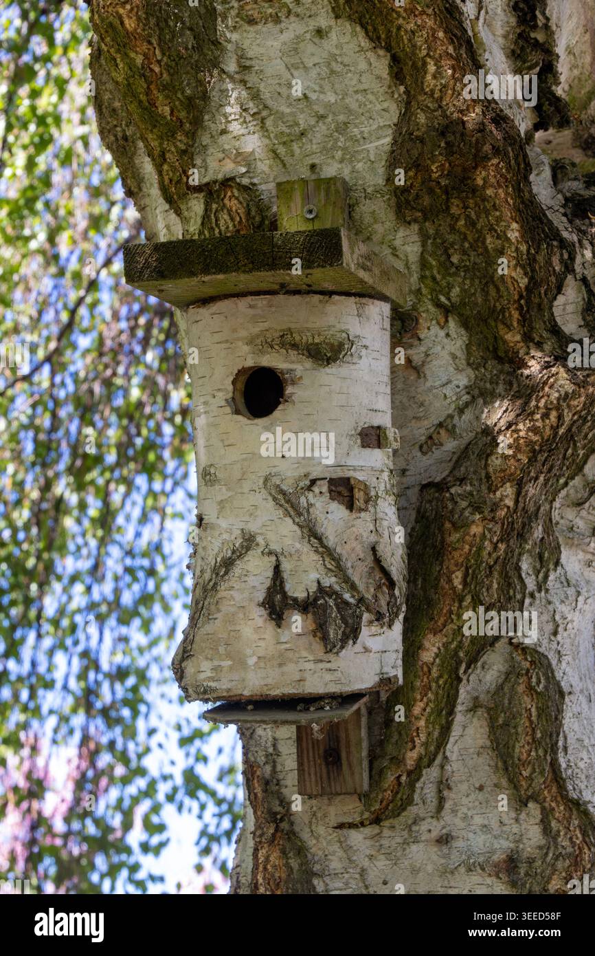 Un nichoir est fixé sur le côté d'un tronc d'arbre. Les feuilles et les branches environnantes montrent la scène en plein jour. Banque D'Images
