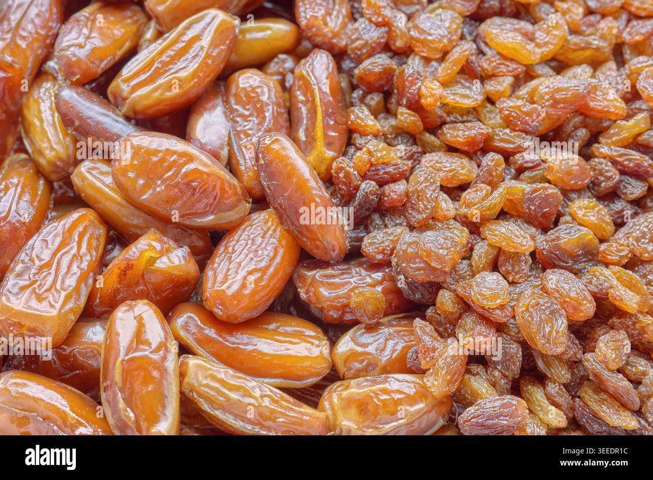 Dattes et raisins secs biologiques, focus sélectif. Banque D'Images