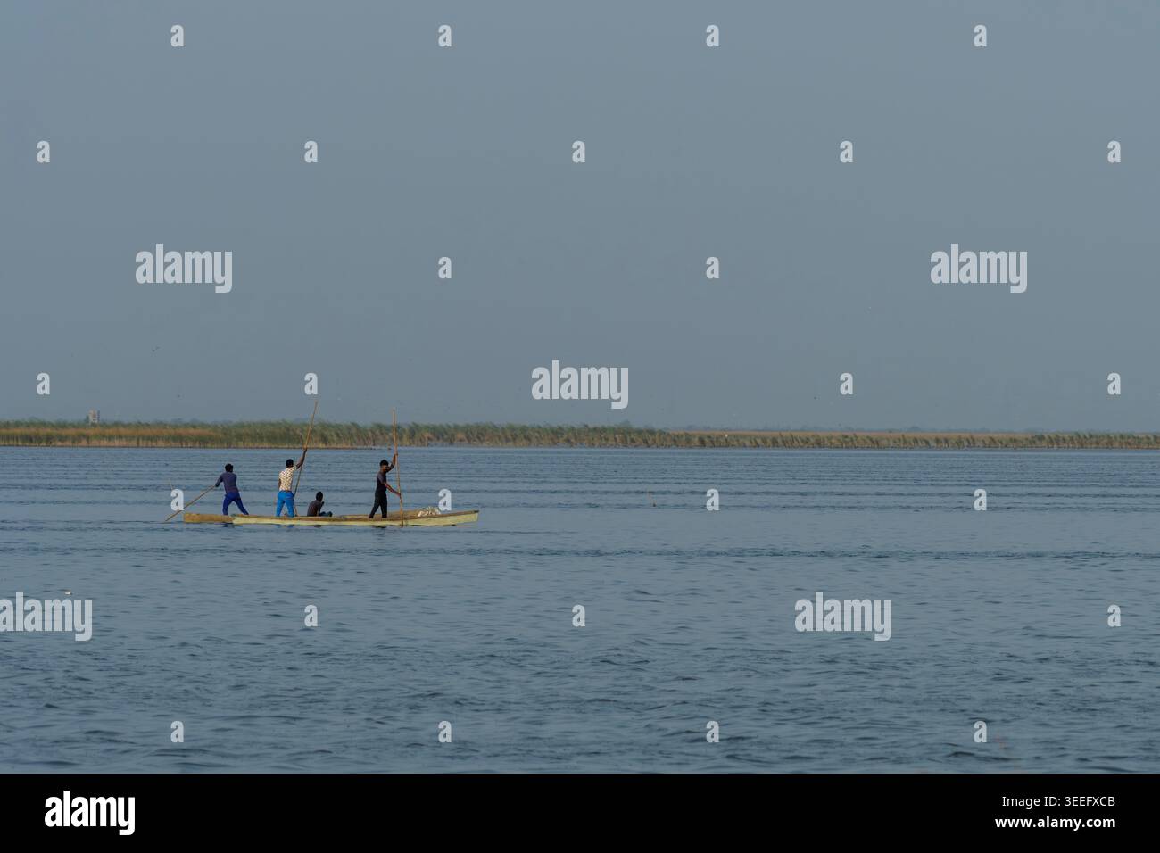 Pêcheurs naviguant un bateau traditionnel dans la zone humide de Nalsarovar, Gujarat Banque D'Images