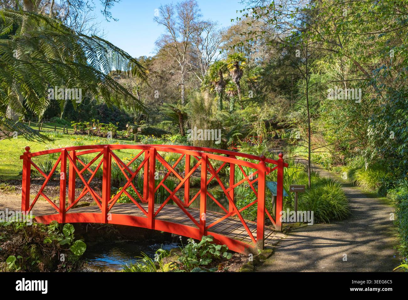 L'un des ponts de style japonais traversant un ruisseau dans les jardins subtropicaux d'Abbotsbury dans le Dorset Banque D'Images