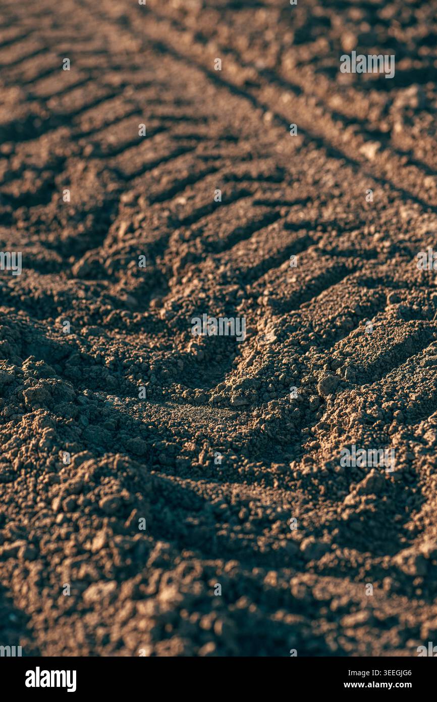 Gros plan des sculptures de pneus sur sol sec, traces d'agriculture rurale et surface texturée, mise au point sélective Banque D'Images