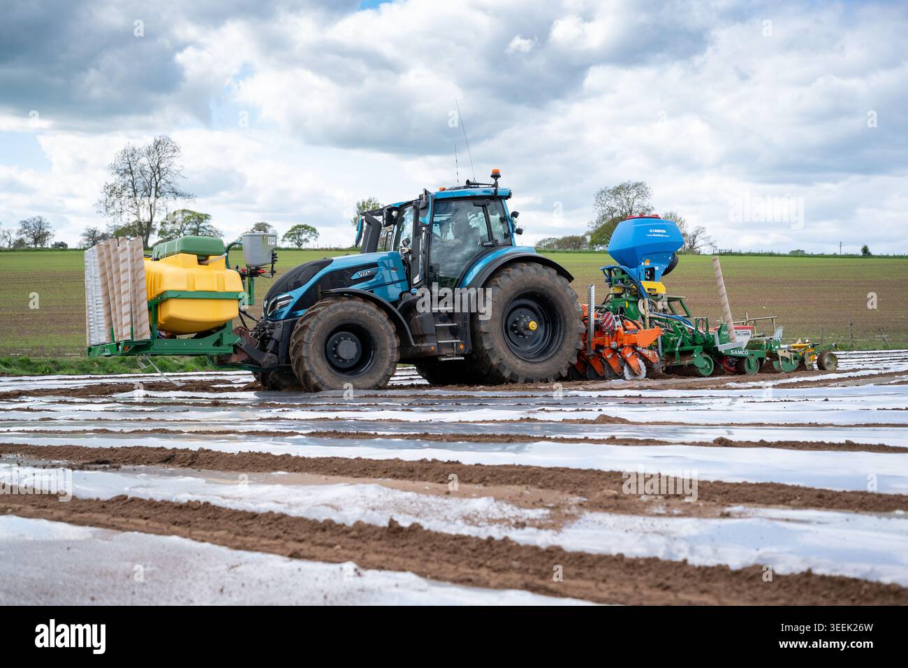 Entrepreneur agricole plantant une récolte de maïs, pour une culture fourragère, sous film plastique biodégradable à l'aide d'un tracteur Valtra et d'un semoir Samco, Banque D'Images