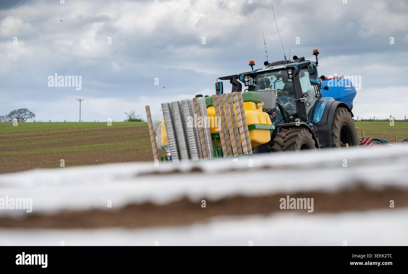 Entrepreneur agricole plantant une récolte de maïs, pour une culture fourragère, sous film plastique biodégradable à l'aide d'un tracteur Valtra et d'un semoir Samco, Banque D'Images
