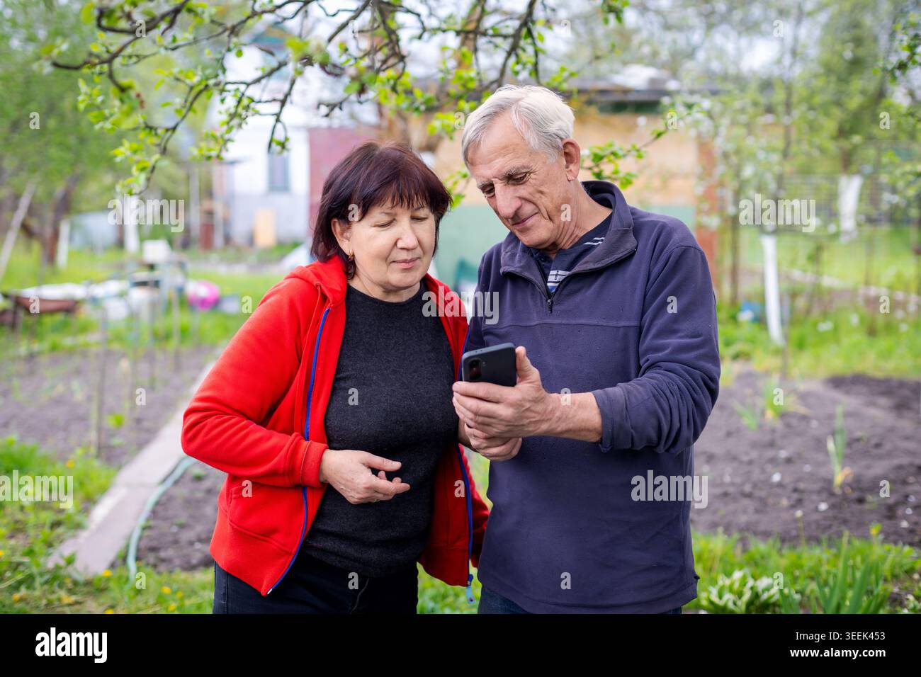 Couple senior utilisant smartphone dans le jardin. Couple senior regarde un smartphone ensemble tout en se tenant à l'extérieur dans un jardin potager vert arrière. Banque D'Images
