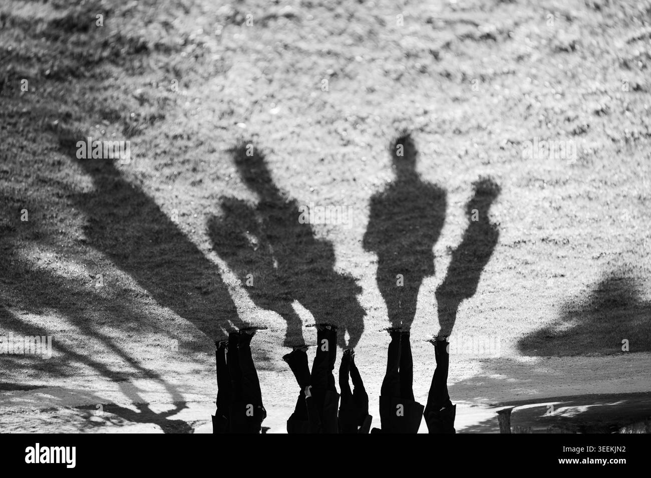 Promenade à l'aube de la ville. Les gens se promènent alors que les ombres de la ville s'allongent progressivement. Les visiteurs se promènent à l'aube au milieu des silhouettes et de la lumière imposantes de la ville Banque D'Images