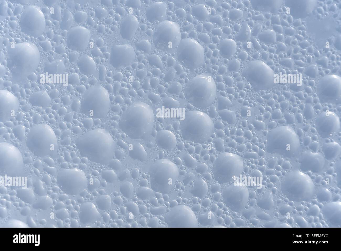 Fond abstrait avec de nombreuses petites et grandes perles d'eau dispersées sur une surface de teinte fraîche Banque D'Images