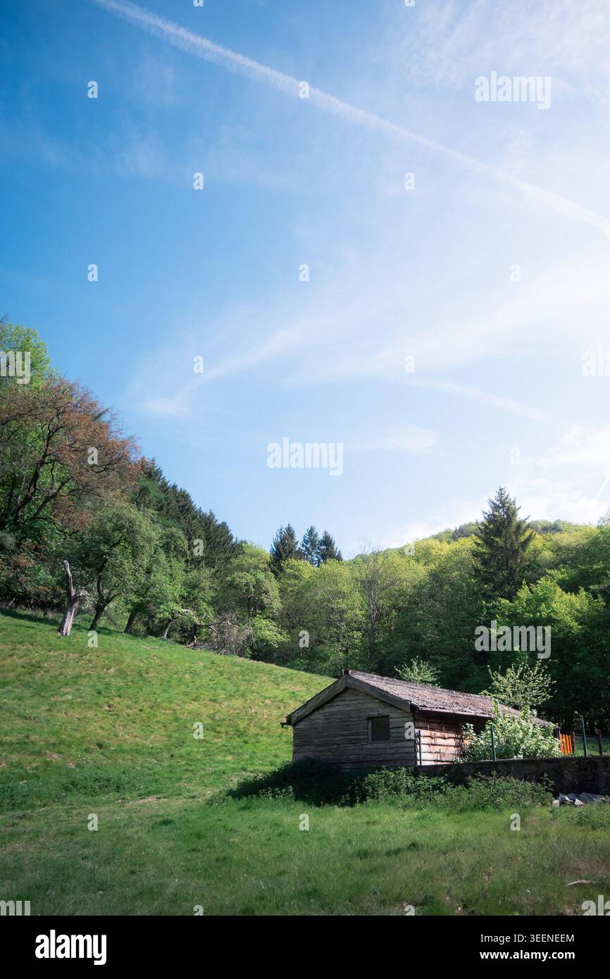 Cabane rustique en bois sur une prairie verdoyante à flanc de colline entourée de forêt sur le sentier de randonnée de Ninglinspo, Ardennes, province de Liège, Belgique. Banque D'Images