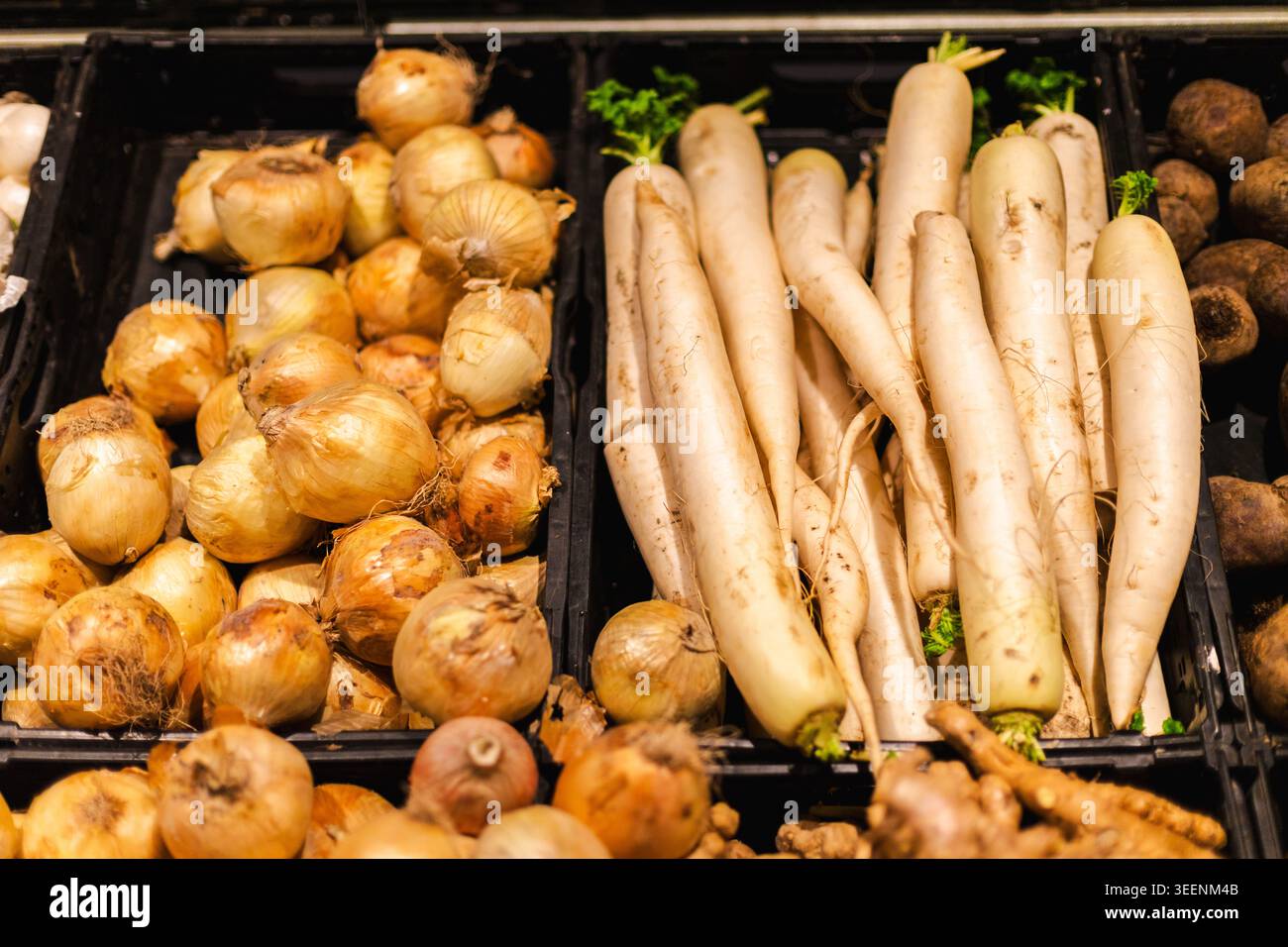 Oignons frais et radis blanc affichés dans la section des produits de supermarché avec des légumes biologiques et un concept d'épicerie sain Banque D'Images