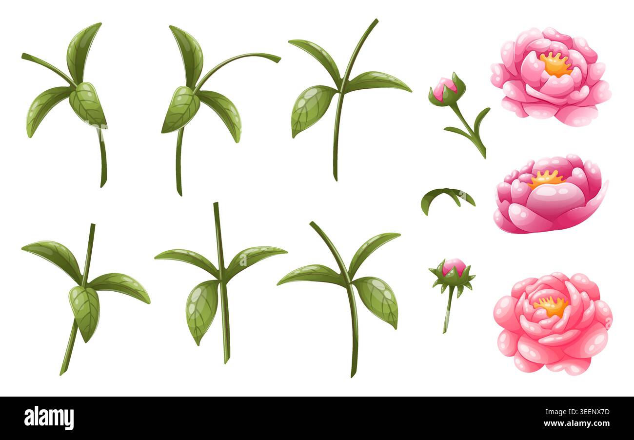 Ensemble de pièces de pivoine rose Illustration de Vecteur