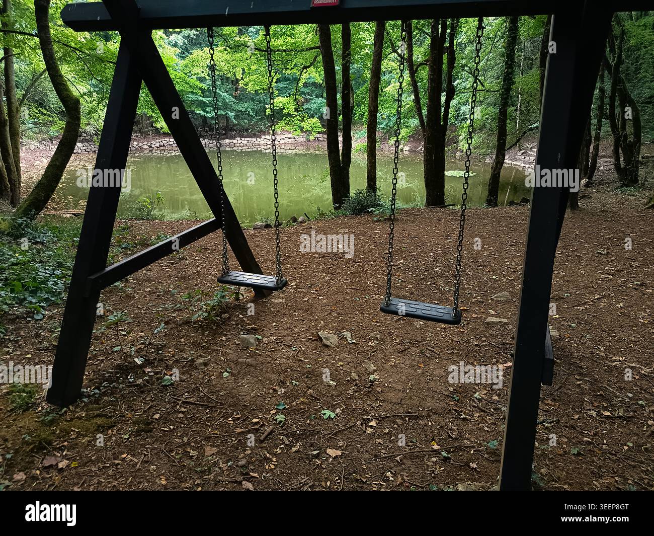 Balançoires en bois vides sur une aire de jeux dans une forêt verdoyante surplombant un lac calme en arrière-plan. Banque D'Images