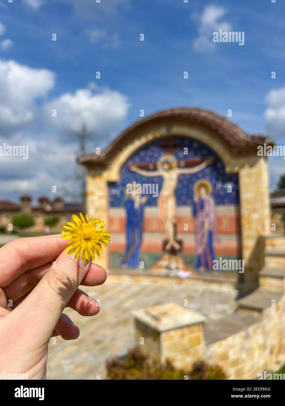 Main tenant un pissenlit jaune avec une mosaïque floue de la Résurrection du Christ en arrière-plan du monastère de Kać - Image de stock capturée avec un smartphone