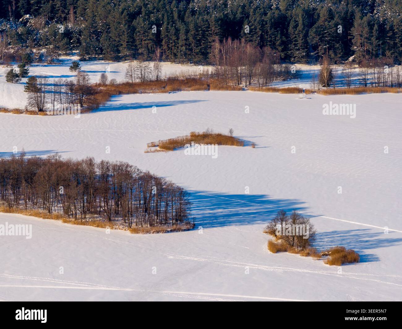Vue aérienne d'un lac gelé avec de petites îles d'arbres et une forêt dense à feuilles persistantes sous la lumière du soleil d'hiver en Lituanie. Banque D'Images