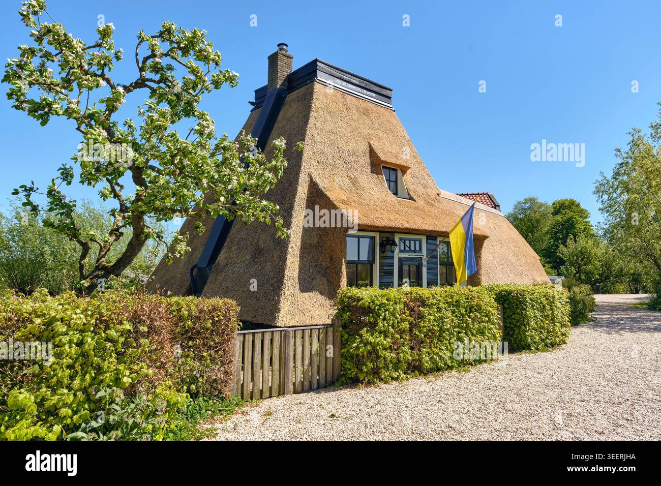 Maison traditionnelle néerlandaise au toit de chaume avec drapeau ukrainien, architecture historique et vie durable à Lexmond, pays-Bas Banque D'Images