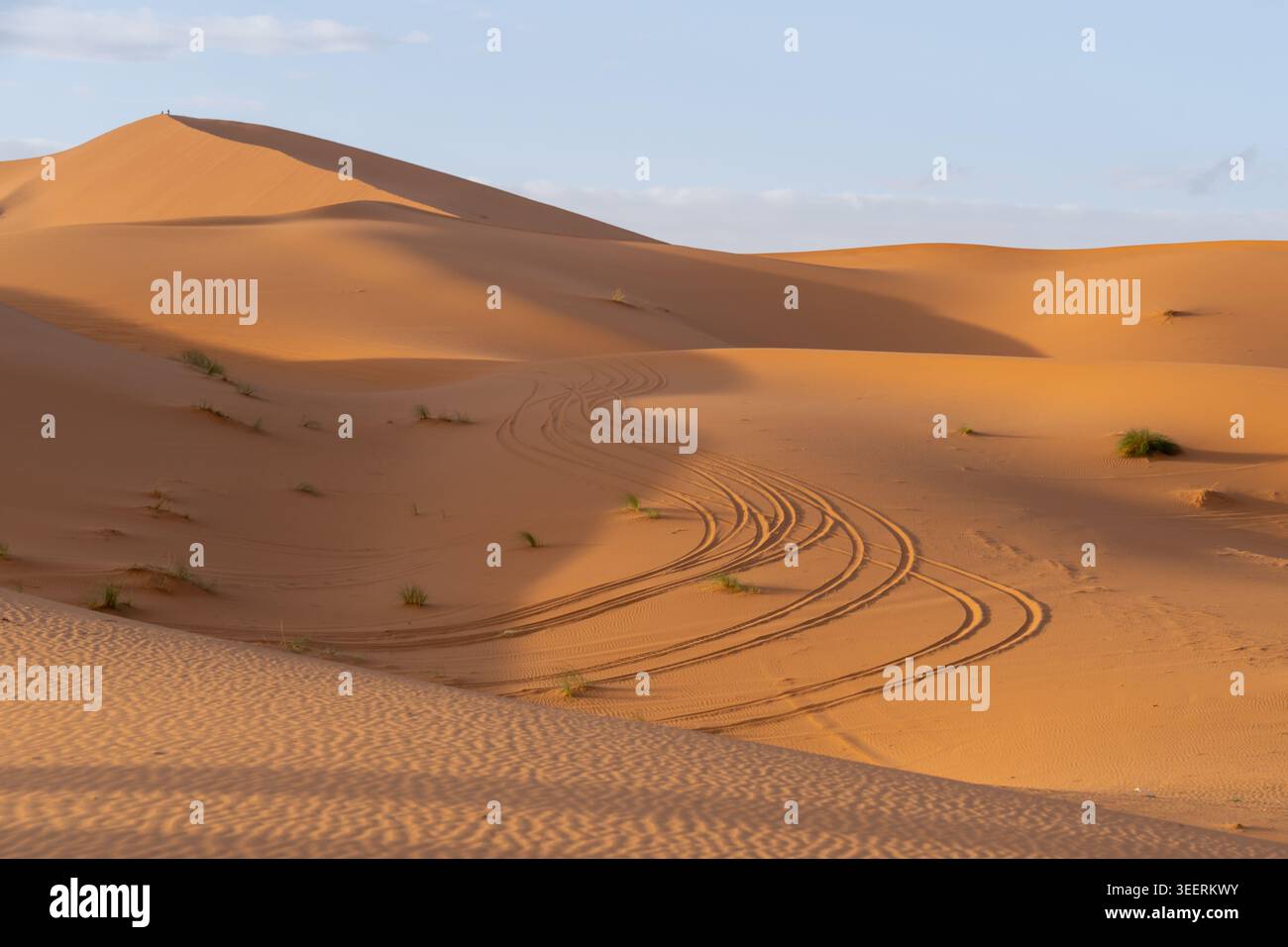 Pistes de voiture dans le sable sur les dunes de sable, désert du Sahara au Maroc, Afrique Banque D'Images