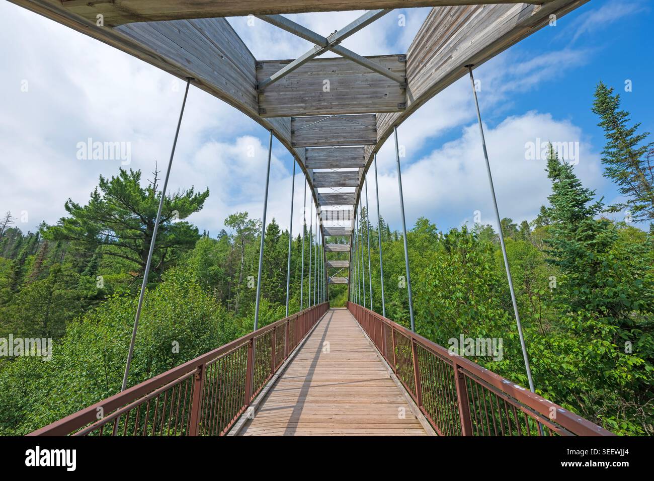 Vue unique d'une passerelle unique dans le parc provincial Ouimet Canyon en Ontario Banque D'Images