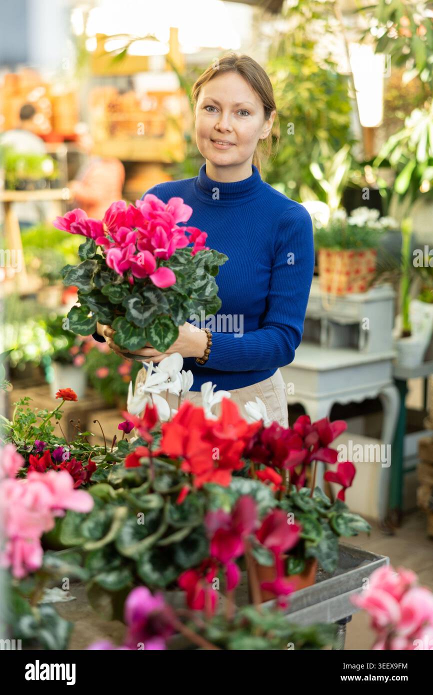 Client féminin choisissant cyclamen en pot dans le magasin de jardin de récipient Banque D'Images