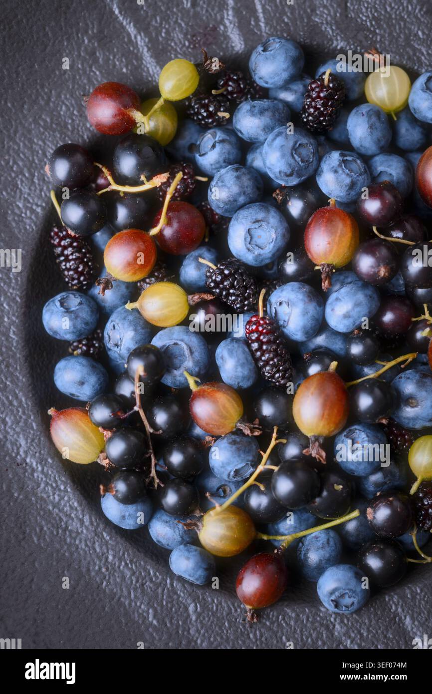 Gros plan des baies mélangées dans le bol, couleurs naturelles vibrantes. Assortiment saisonnier avec bleuets, groseilles à maquereau et fruits de saison mélangés Banque D'Images