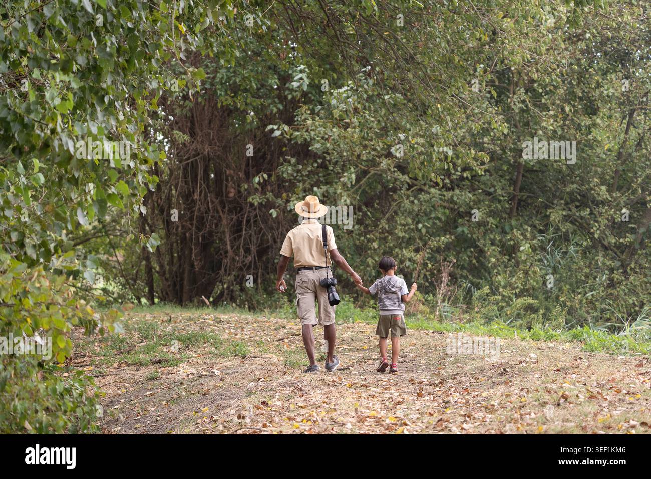 Père et fils marchant le long d'un chemin forestier se tenant la main, explorant en plein air Banque D'Images