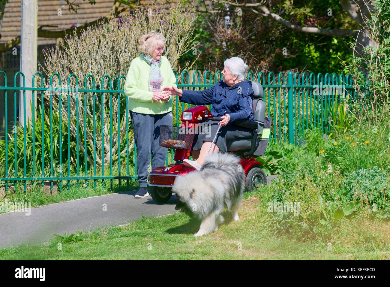 Paire de femmes âgées ou de dames âgées, une dans un scooter de mobilité et promenant un chien, bavardant dans un parc sur un froid mais ensoleillé jour de printemps au Royaume-Uni. Banque D'Images