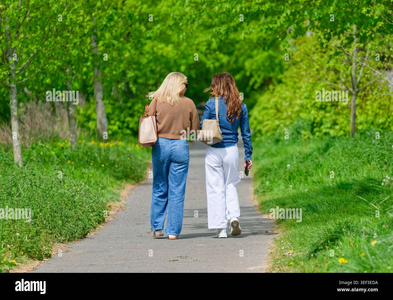 Paire de jeunes femmes par derrière, marchant le long d'un chemin de campagne portant des sacs à bandoulière et parlant, un jour ensoleillé de printemps dans le Sussex de l'Ouest, Royaume-Uni. Style de vie. Banque D'Images