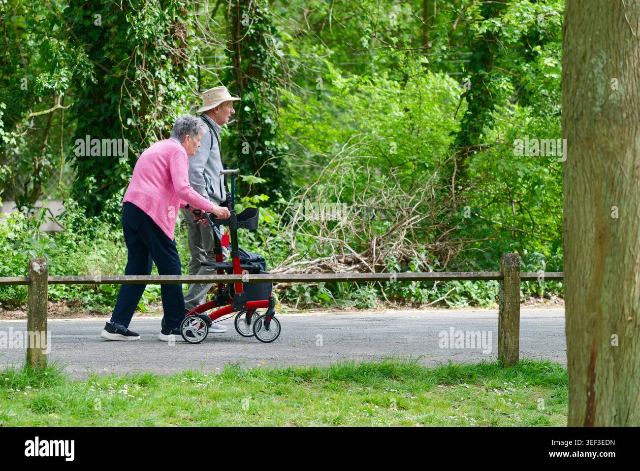 Paire de seniors, un homme et une femme, un avec un marcheur à roues / poussette, aller pour une promenade de printemps dans la campagne dans le West Sussex, Angleterre, Royaume-Uni. Banque D'Images