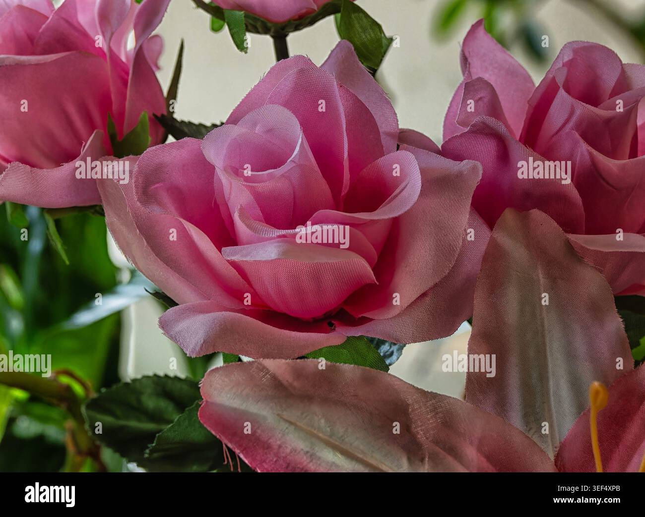 Une plante artificielle d'intérieur rose Magnolia Banque D'Images