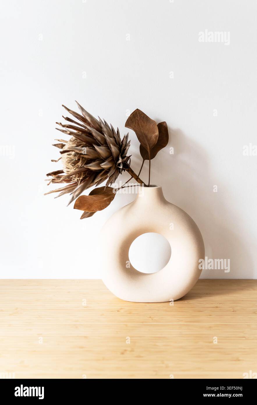Vase rond en céramique blanche avec fleur de protéa séchée avec des feuilles sur un fond neutre, nature morte minimaliste avec des ombres douces et un décor naturel. Fron Banque D'Images