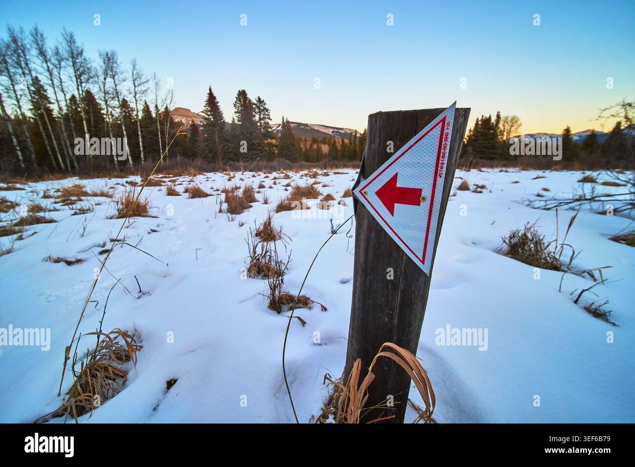 Flèche de signalisation d'hiver dans Snowy Field avec forêt et montagnes Banque D'Images