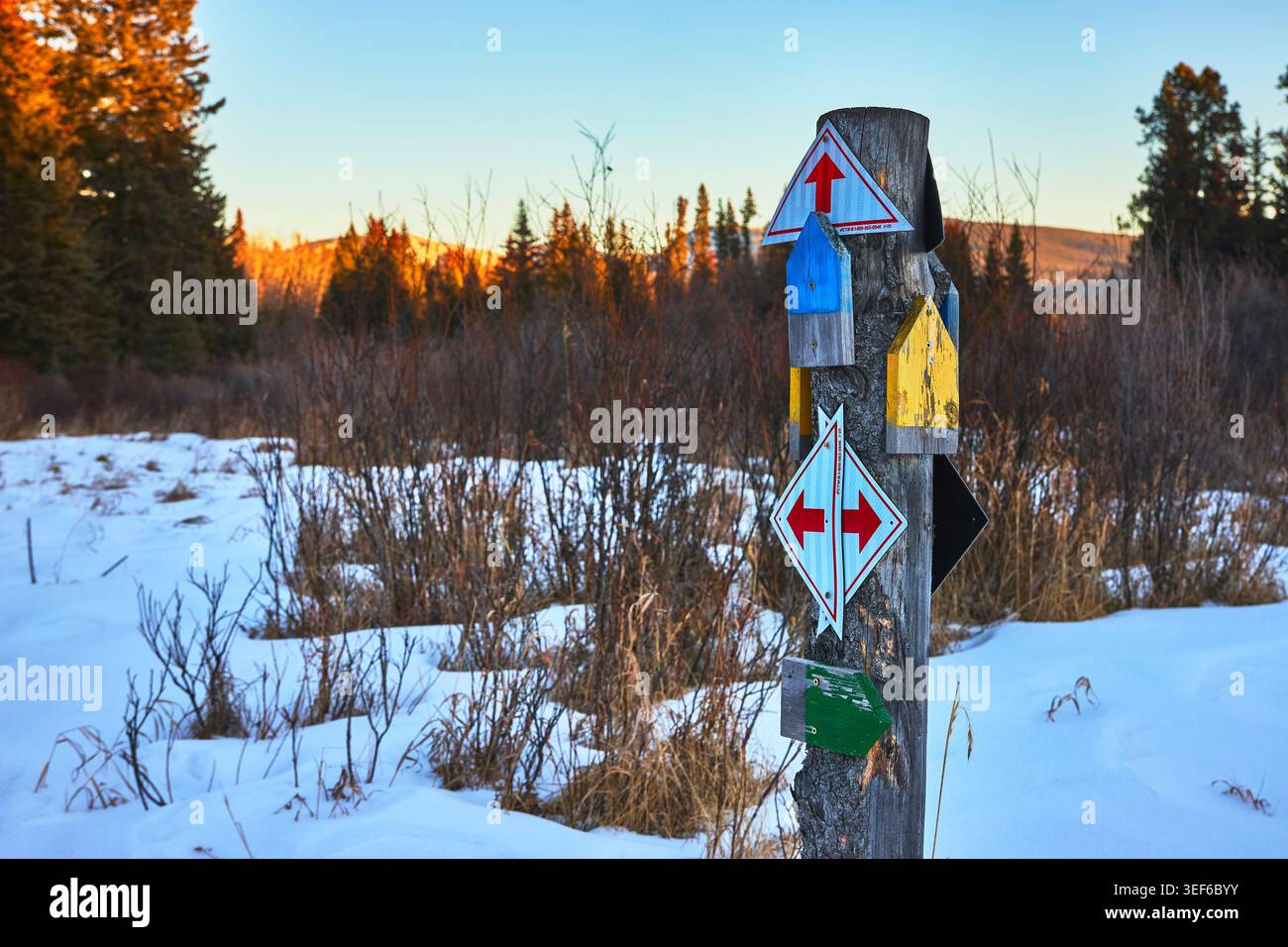 Panneau de signalisation de piste d'hiver dans Snowy Forest Clearing avec flèches directionnelles Banque D'Images