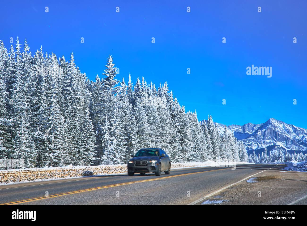 Voiture de voyage en hiver avec pins enneigés et paysages de montagne sous ciel bleu clair Banque D'Images