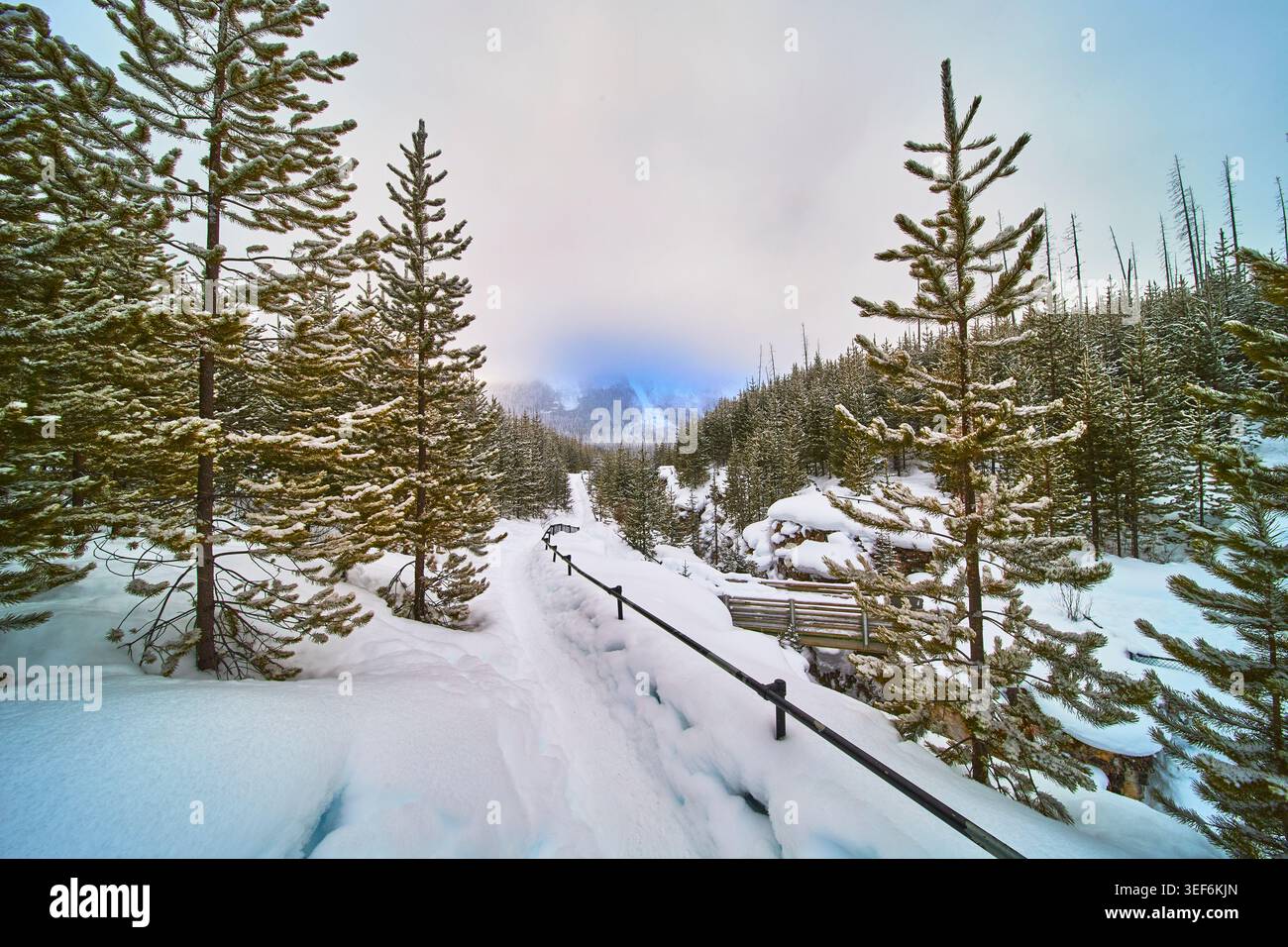 Sentier d'hiver enneigé avec forêt de pins et pont en bois dans le paysage de montagne Banque D'Images