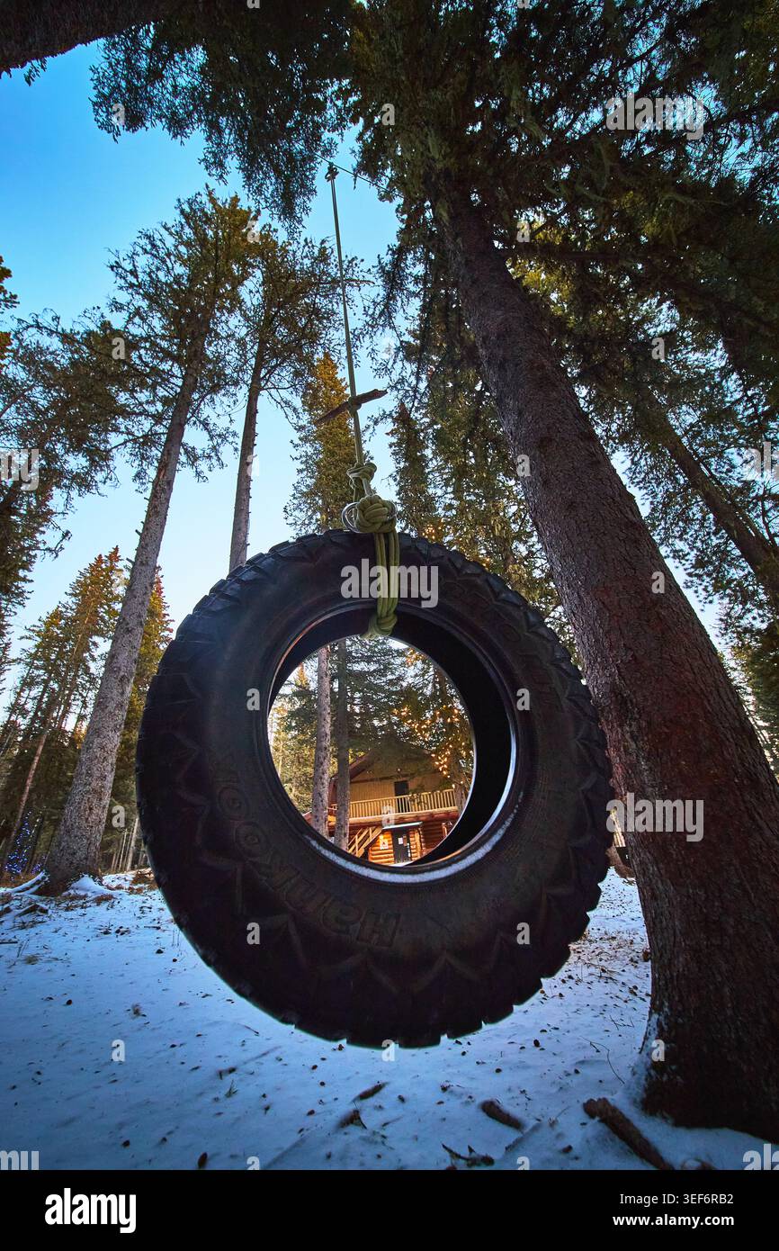 Tire Swing Winter Forest Cabin Outdoor Adventure Alberta Banque D'Images