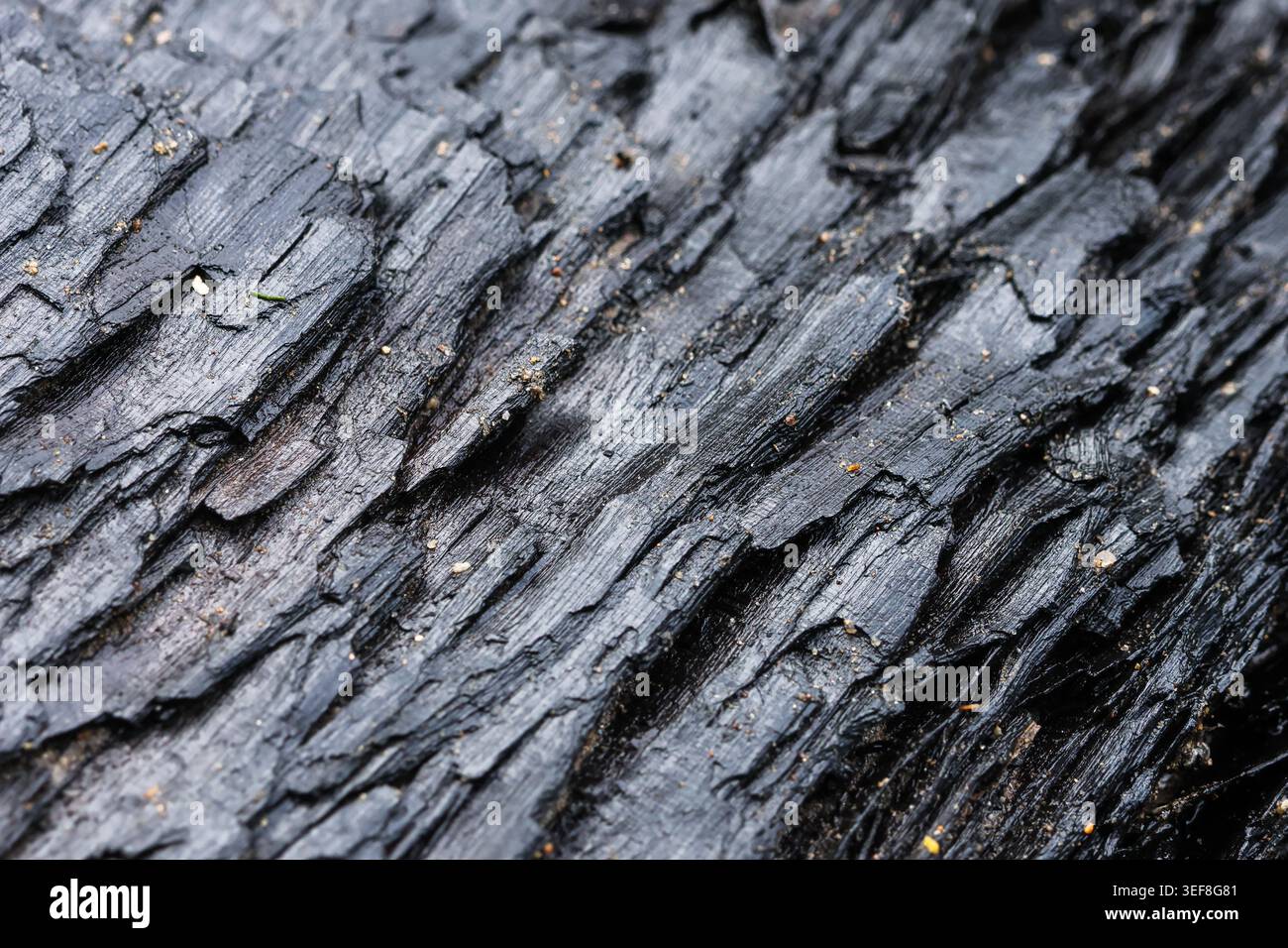 Vue macro sombre intense montrant une texture de bois carbonisé rugueux avec du charbon de bois brûlé noir foncé et un motif fissuré. ca détaillé de destruction des dommages causés par un incendie Banque D'Images