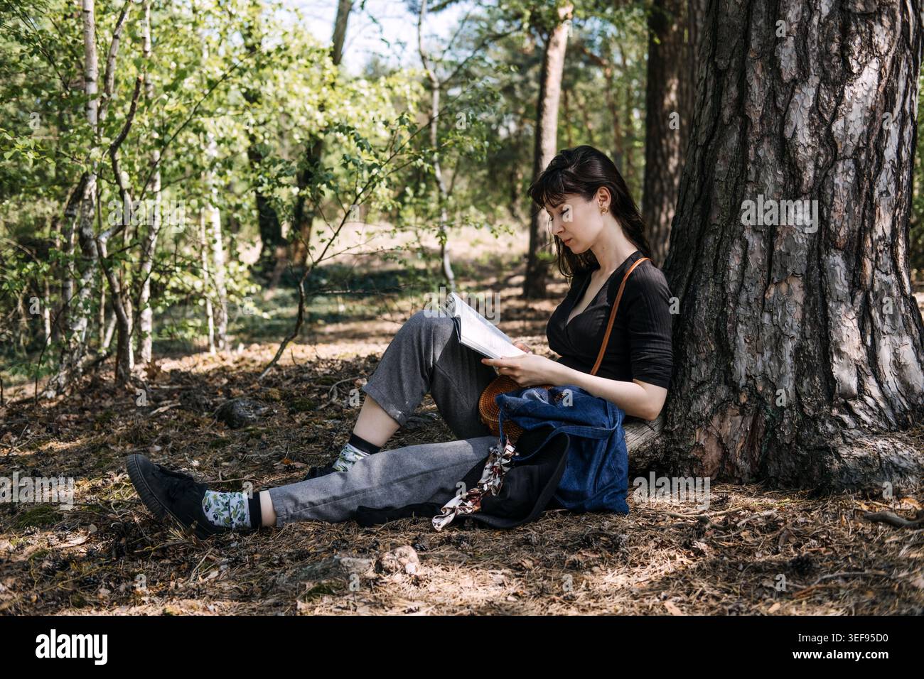 La personne est assise sur le sol tout en lisant le livre sous l'arbre dans la forêt. Détox numérique, mouvement lent, évasion de la ville, plaisirs simples. Banque D'Images