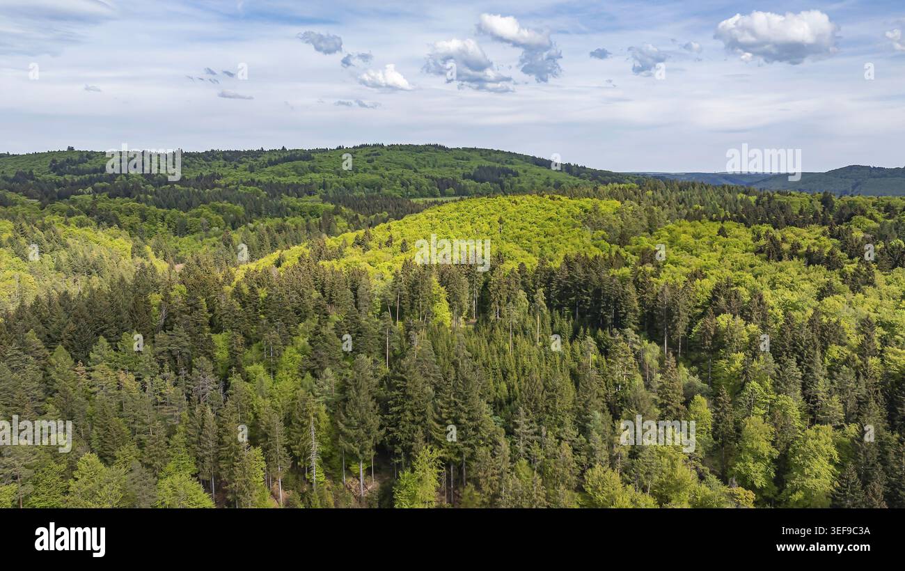Forêt mixte dans le Jura souabe au printemps. vue aérienne. Gomadingen, Bade-Wuertemberg, Allemagne Banque D'Images