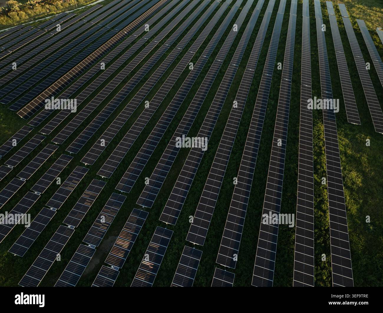 Vue aérienne d'une grande ferme solaire avec des rangées de panneaux photovoltaïques installés sur des champs verts Augusta, Sicile, Italie. Banque D'Images