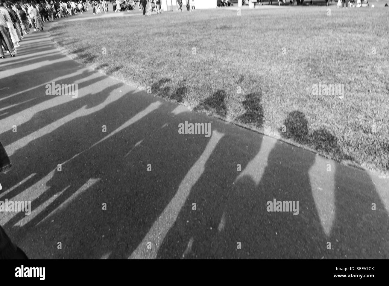 Les longues ombres diagonales d'une rangée de personnes debout en ligne s'étendent sur un trottoir ensoleillé à côté d'une pelouse verte, capturées en noir et blanc au Hitachi Seaside Park à Ibaraki, au Japon. La composition abstraite évoque la communauté, l’unité et le passage du temps. Banque D'Images
