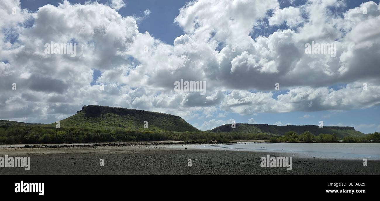 Habitat du flamant rose dans les marais salants Jan Kok à Curaçao entouré d'eau calme, de mangroves et de paysages tropicaux des Caraïbes - Image de stock capturée avec un smartphone