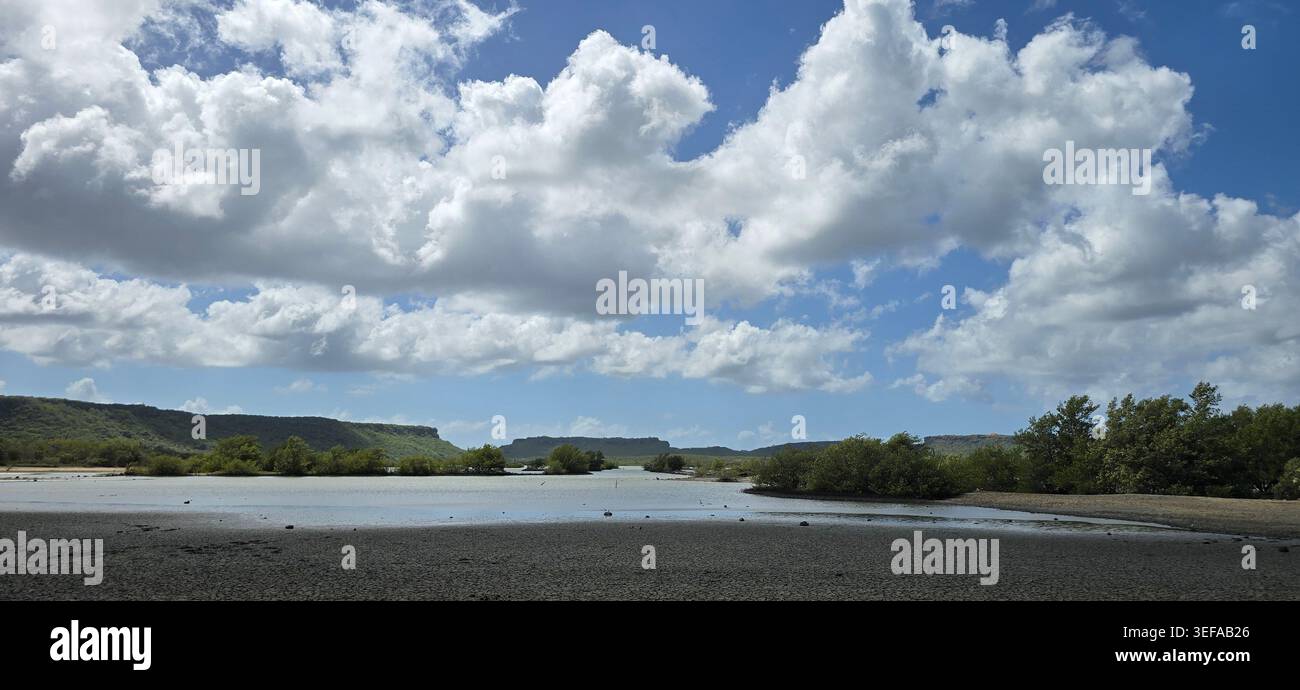 Habitat du flamant rose dans les marais salants Jan Kok à Curaçao entouré d'eau calme, de mangroves et de paysages tropicaux des Caraïbes - Image de stock capturée avec un smartphone