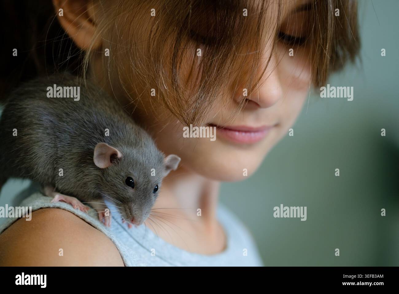 Une fille avec un petit animal de compagnie dans une étreinte chaleureuse soulignant l'amour et la tendresse capturant le lien et les moments affectueux Banque D'Images