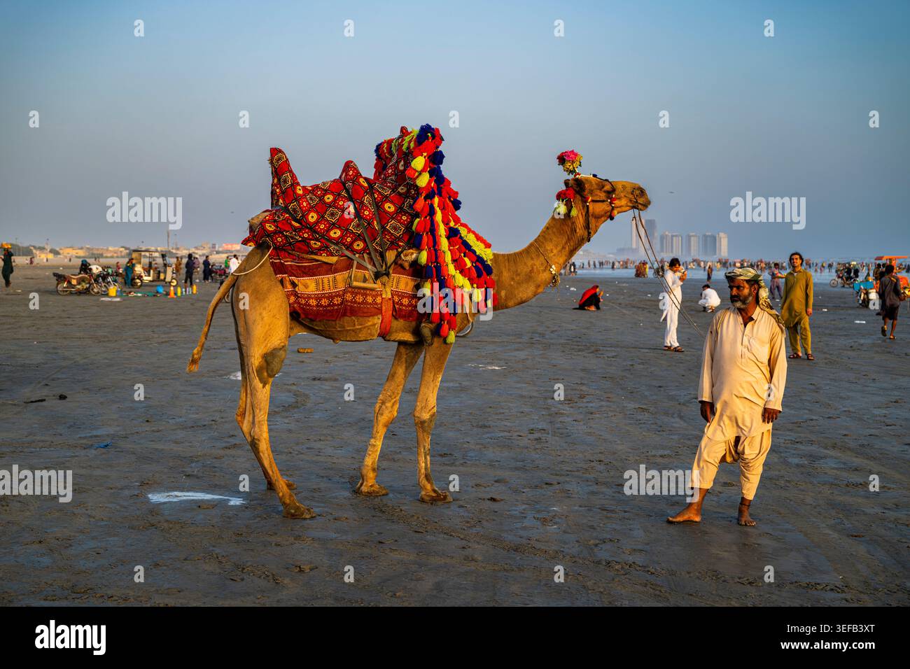 Des chameaux habillés de couleurs vives marchent le long d'une plage au coucher du soleil à Karachi, au Pakistan Banque D'Images