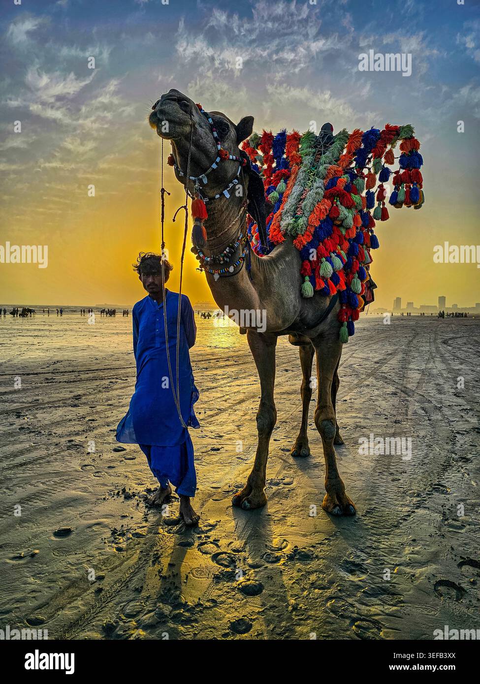 Les chameaux colorés marchent sur la plage de Clifton pendant le coucher du soleil à Karachi avec un gestionnaire à proximité Banque D'Images