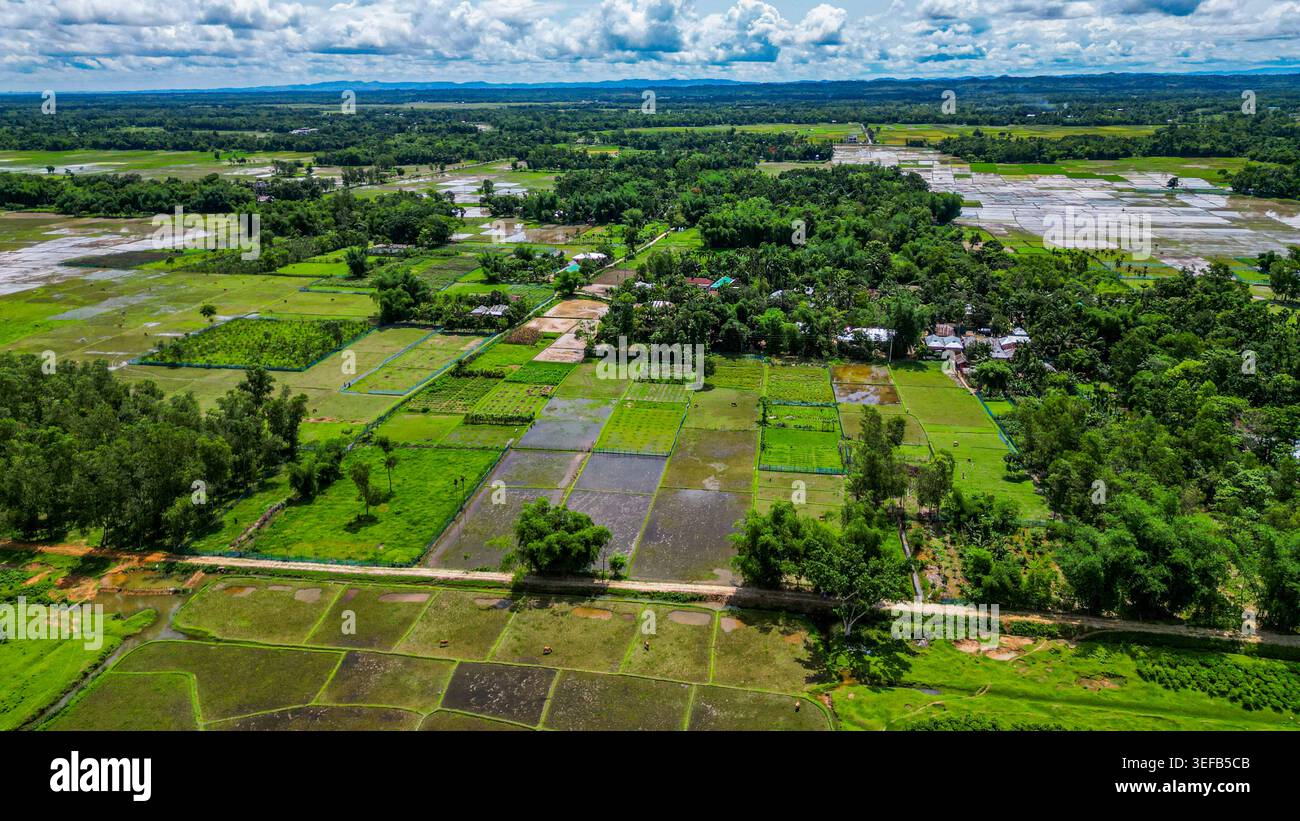 Vue aérienne des champs de thé et de la verdure dans la région de Sreemangal au Bangladesh avec des fermes et des villages visibles Banque D'Images