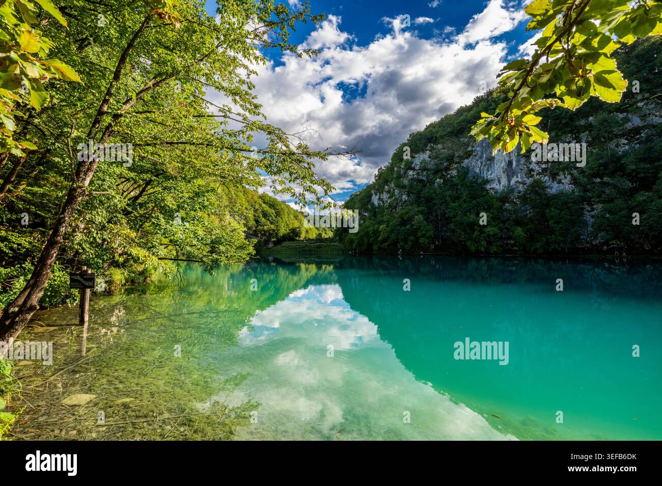 Le parc national des lacs de Plitvice présente une eau turquoise et des arbres verts en Croatie Banque D'Images