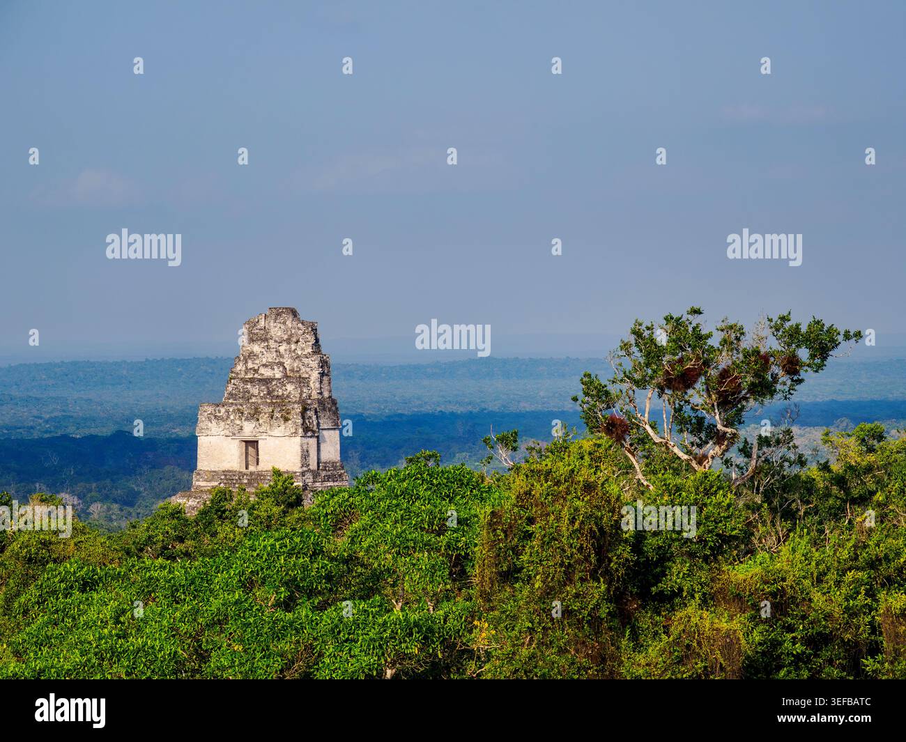 Vue surélevée du Temple I à Tikal, mettant en valeur la structure ancienne et la jungle environnante Banque D'Images