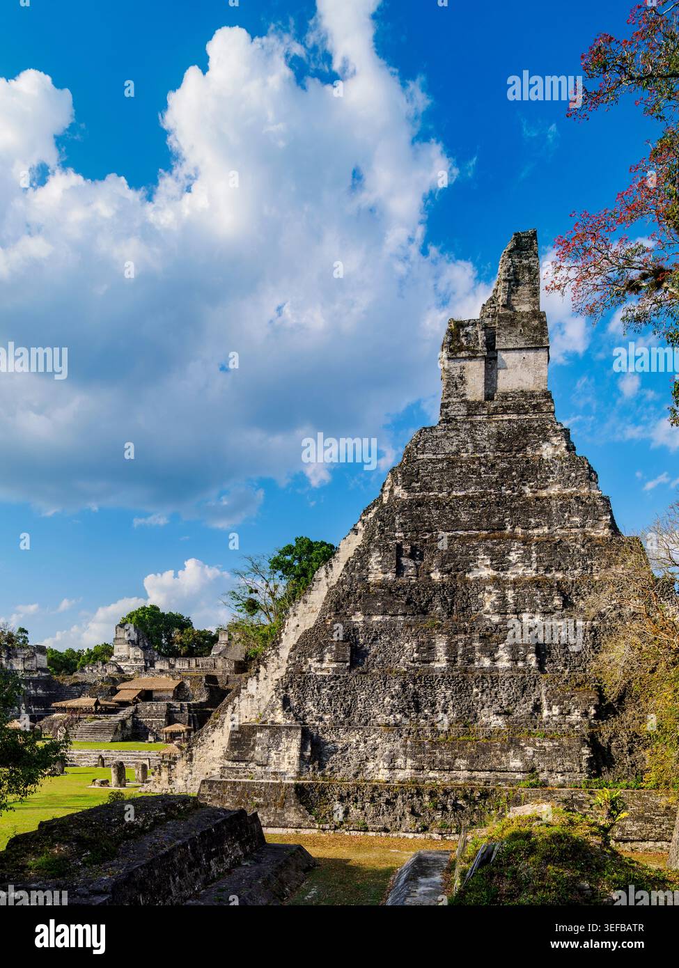 Exploration du Temple I à Tikal, présentant l'architecture ancienne et les ruines environnantes au Guatemala Banque D'Images
